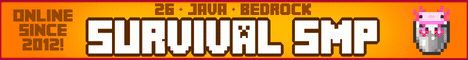 InsanityCraft Minecraft survival server banner - play.insanitycraft.net